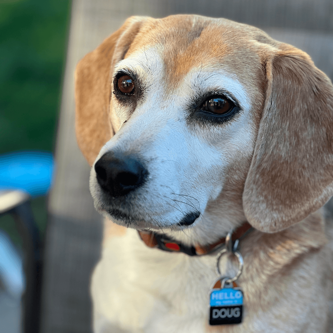 Doug